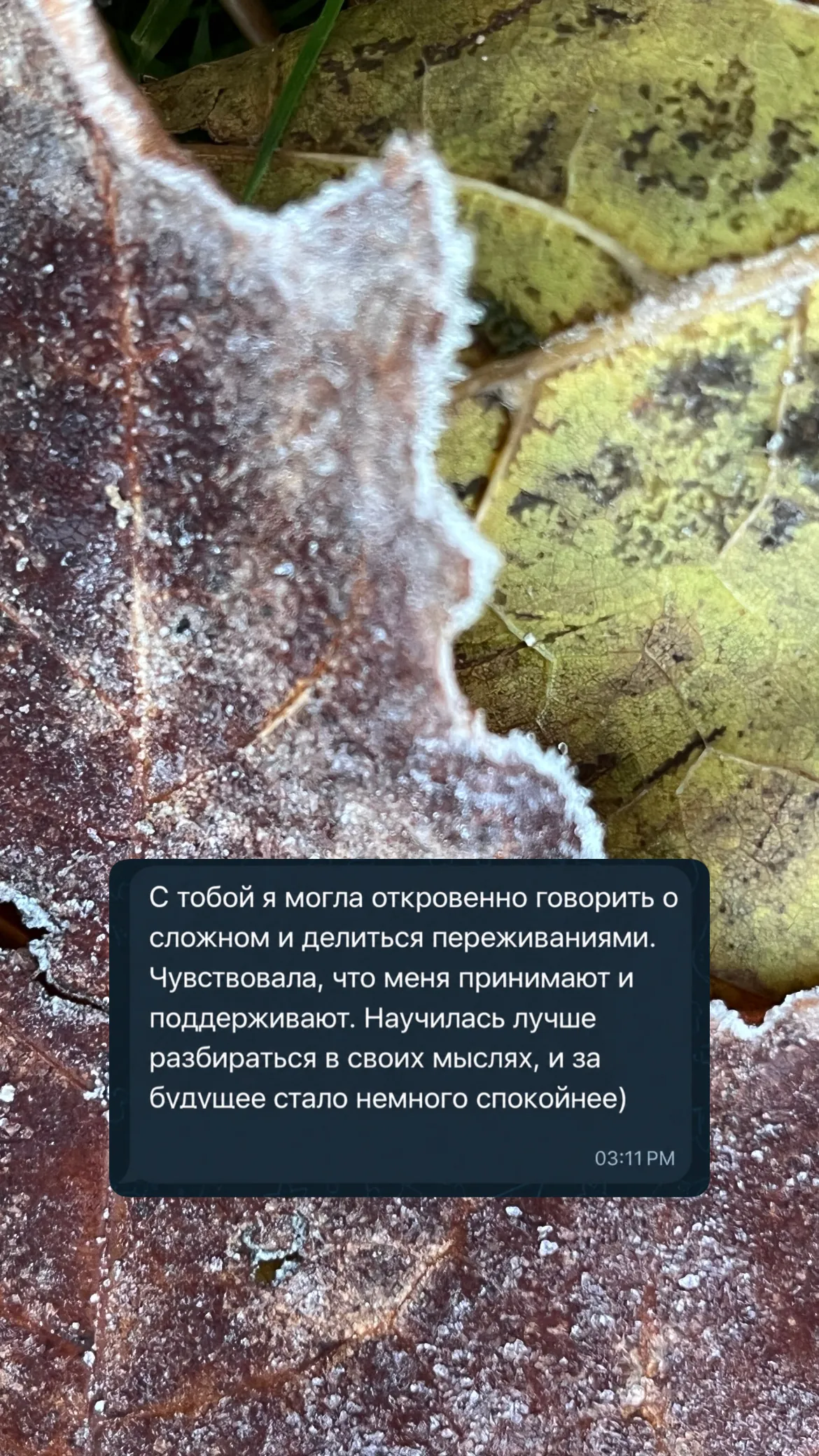 Скриншот: отзыв про откровенный разговор о сложном