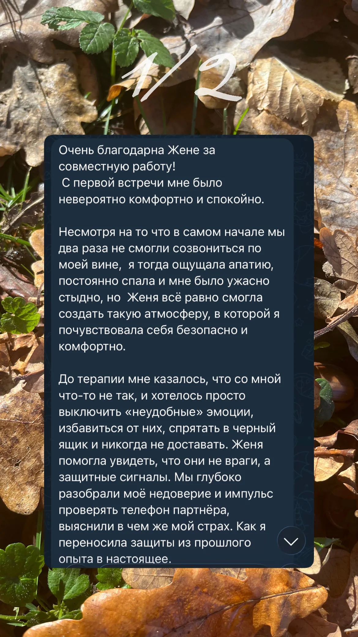Скриншот: длинный отзыв, часть 1 из 2