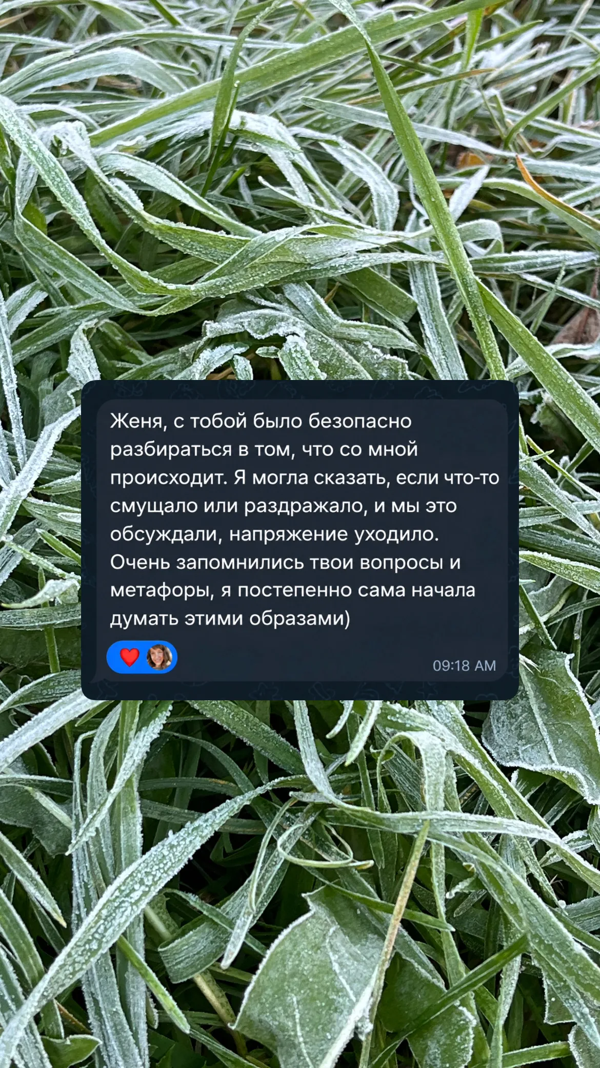 Скриншот: отзыв про безопасность и метафоры