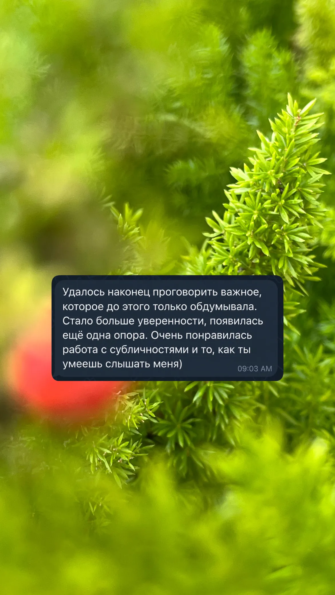 Скриншот: отзыв про то, что удалось проговорить
